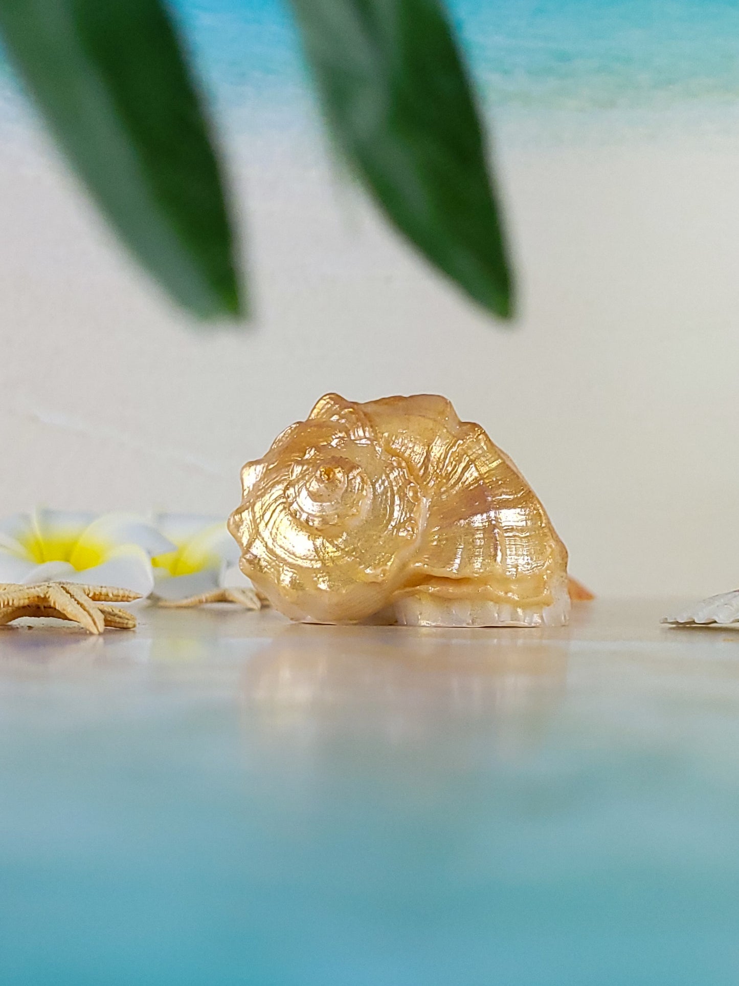 Seashell Soap Rapana