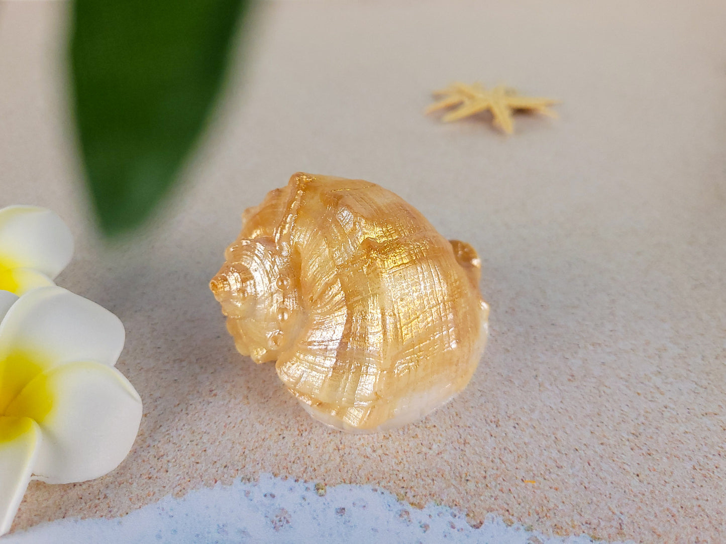 Seashell Soap Rapana